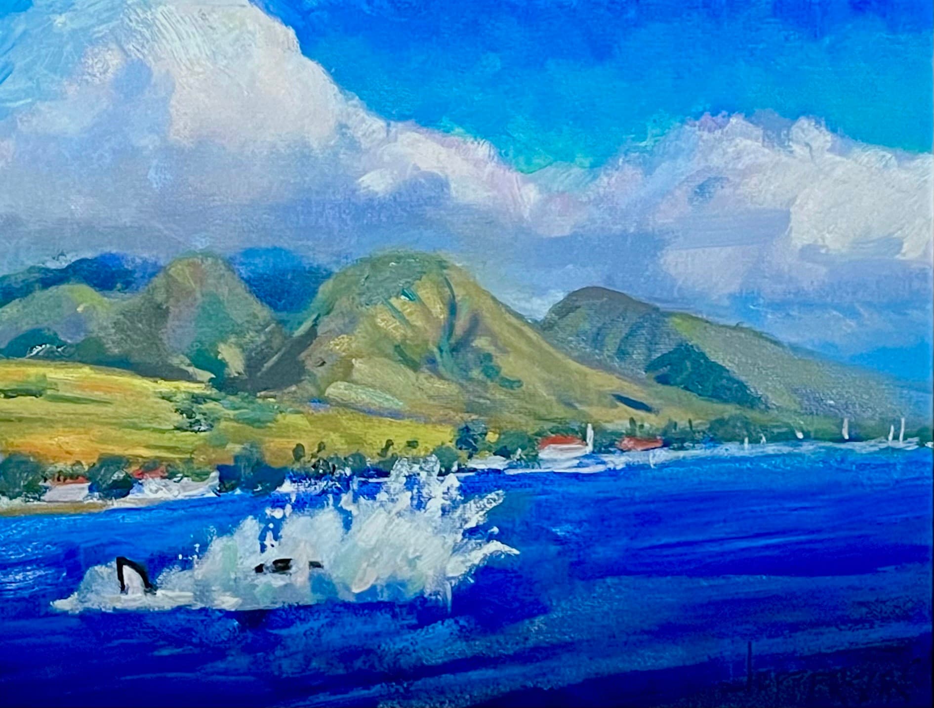 "Lahaina Splash"