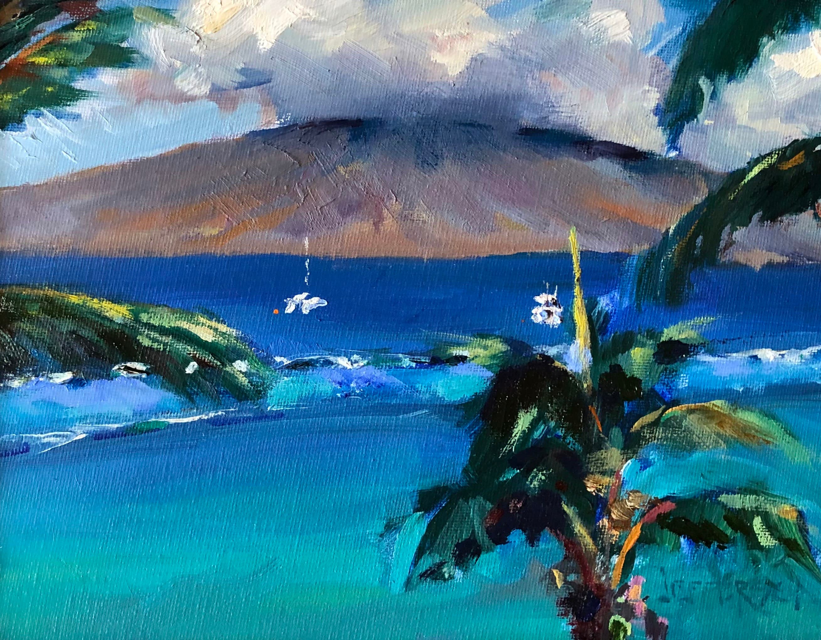 "Shoreline Aqua", Baldwin Beach, Maui